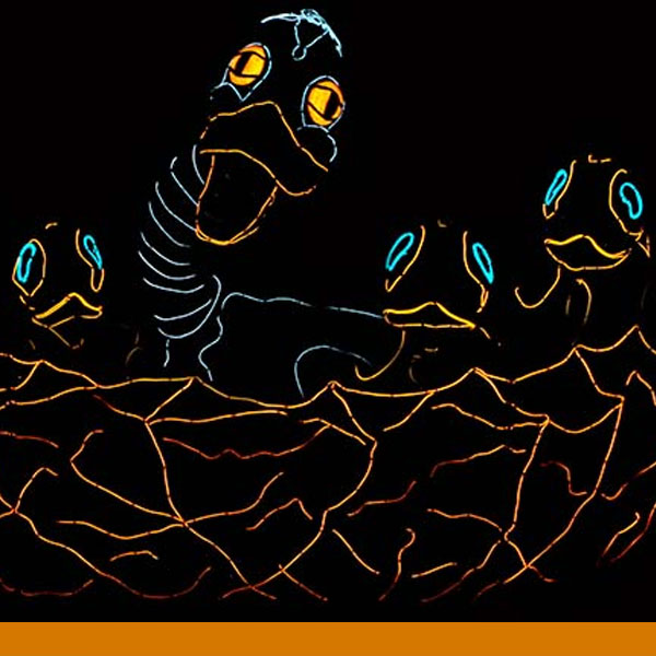 illuminated heads of ducks in blue and yellow colors on a black background